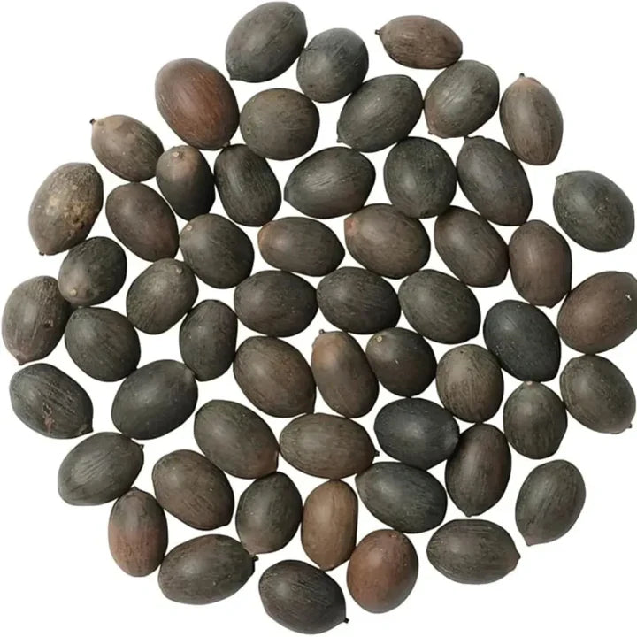 Feng Shui Bonsai Lotus Flower Seeds – Grow Peace, Beauty & Positivity at Home⭐️⭐️⭐️⭐️⭐️4.8/5 (1600+ REVIEWS)