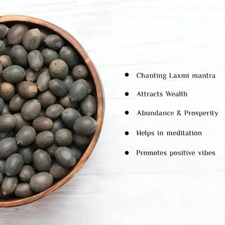 Feng Shui Bonsai Lotus Flower Seeds – Grow Peace, Beauty & Positivity at Home⭐️⭐️⭐️⭐️⭐️4.8/5 (1600+ REVIEWS)