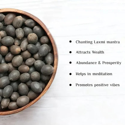 Feng Shui Bonsai Lotus Flower Seeds – Grow Peace, Beauty & Positivity at Home⭐️⭐️⭐️⭐️⭐️4.8/5 (1600+ REVIEWS)