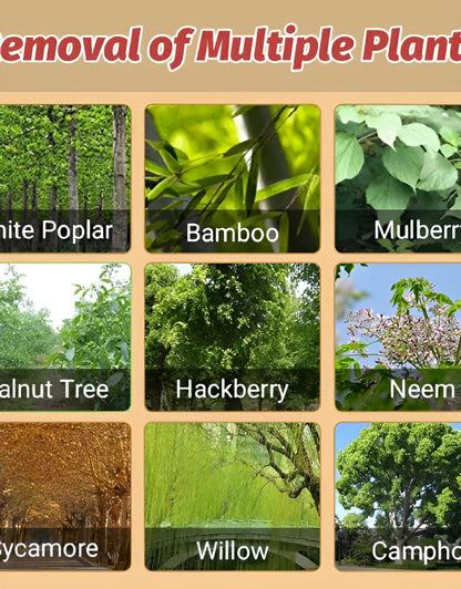 Cyclosinone Herbicide Granules | 🔥BUY 1 GET 1 FREE🔥