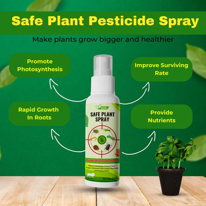 Natural Plant Care Combo - Plant Boost with Safe Plant Sprays